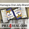 Kamagra-Oral-Jelly-Brand 12